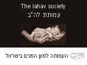 אז איך הכל התחיל? / גלעד